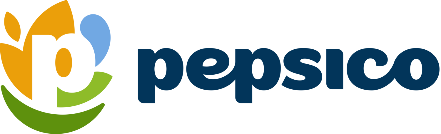 PepsiCo Foods